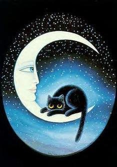 chat sur la lune