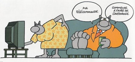 le-chat-telecommande.jpg