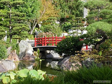 Jardin-japonais.jpg