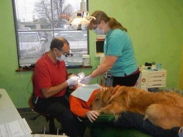 Chez le dentiste