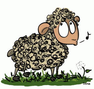 Mouton siffleur