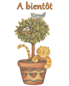 A biento╠ét chat dans pot