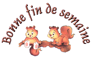 ob_fca0bf_bonne-fin-de-semaine-ecureuils-sur-branche-big