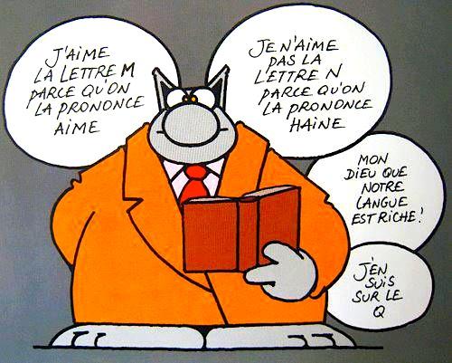 Le français par le Chat