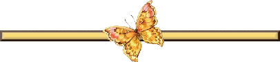 Barre papillon