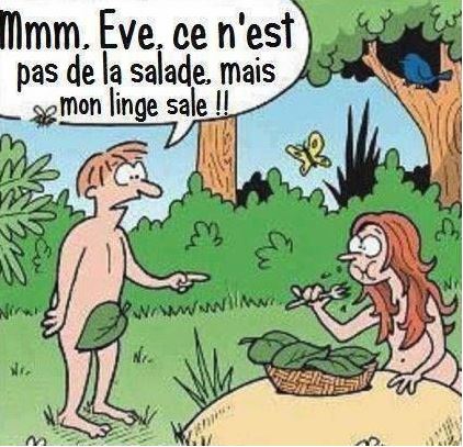 Humour Adam & Eve