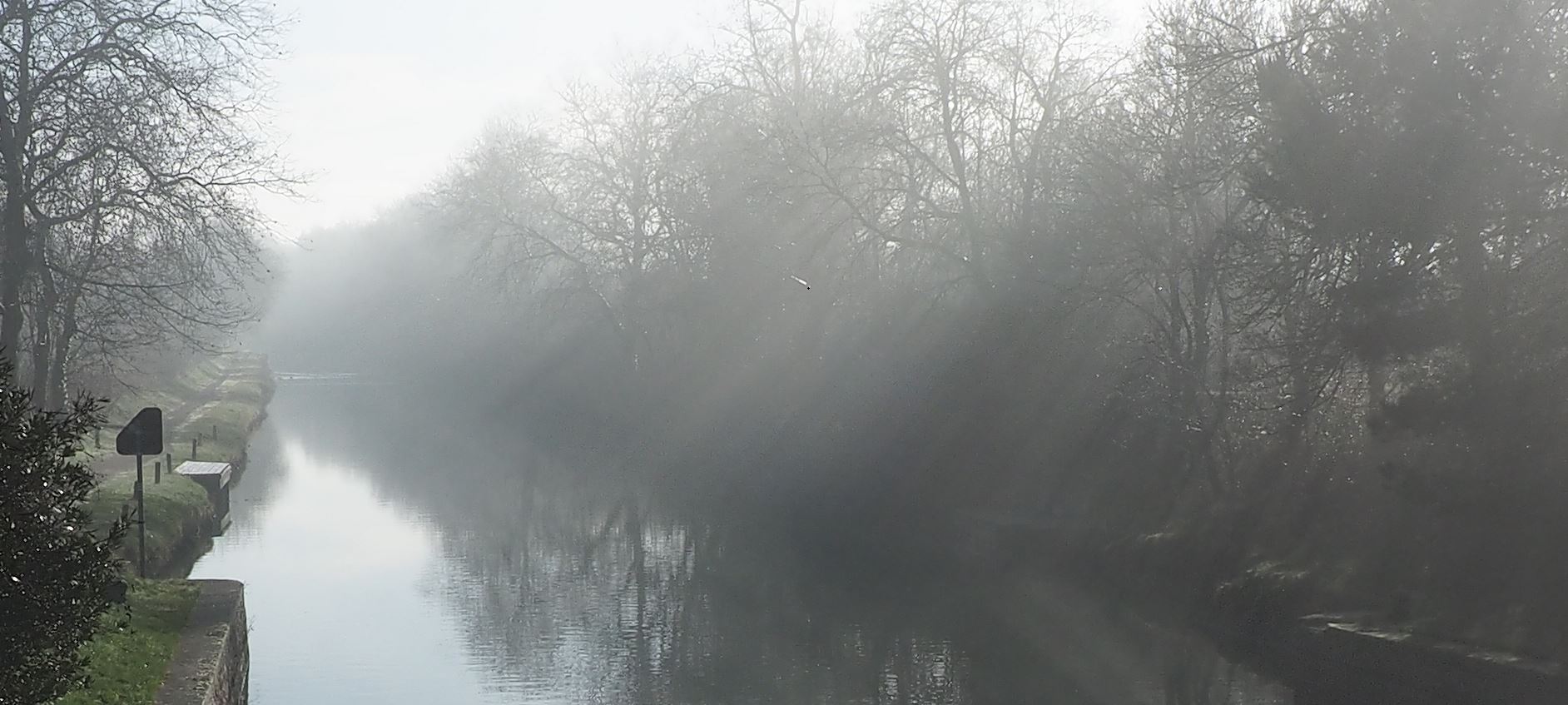 Canal du midi, brouillard