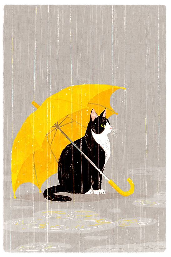 Chat Sous La Pluie 2 Gif La Passion Au Bout Des Doigts Le Nouveau Blog