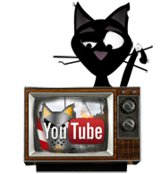 youtube-till-the-cat