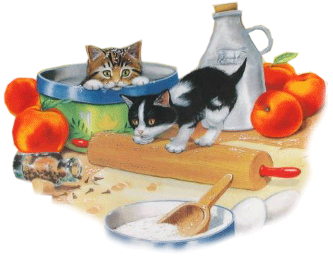 chattons-dans-la-cuisine-gif