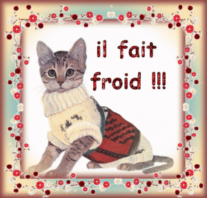 Chat il fait froid gif