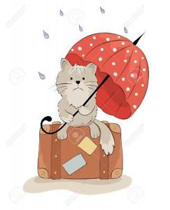 chat-sous-parapluie-gif