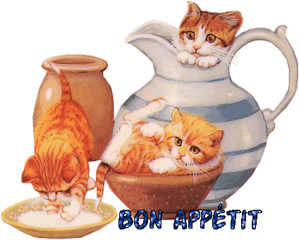 Chats Bon appétit
