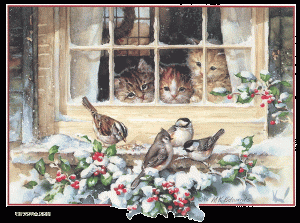 Chats à la fenêtre gif