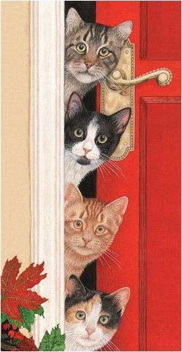 Chats à la porte gif