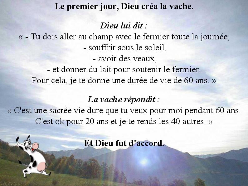 Samedaille Nous Continuons La Passion Au Bout Des Doigts Le Nouveau Blog