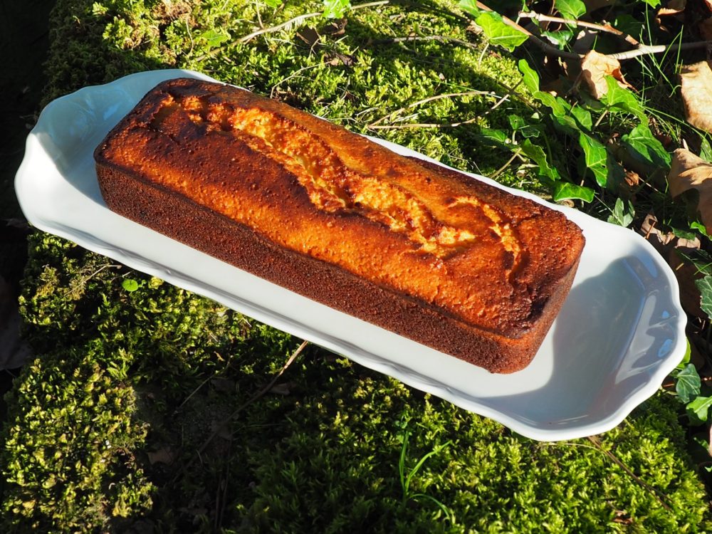 Gateau Au Yaourt Poudre D Amandes Et Confiture D Abricot La Passion Au Bout Des Doigts Le Nouveau Blog